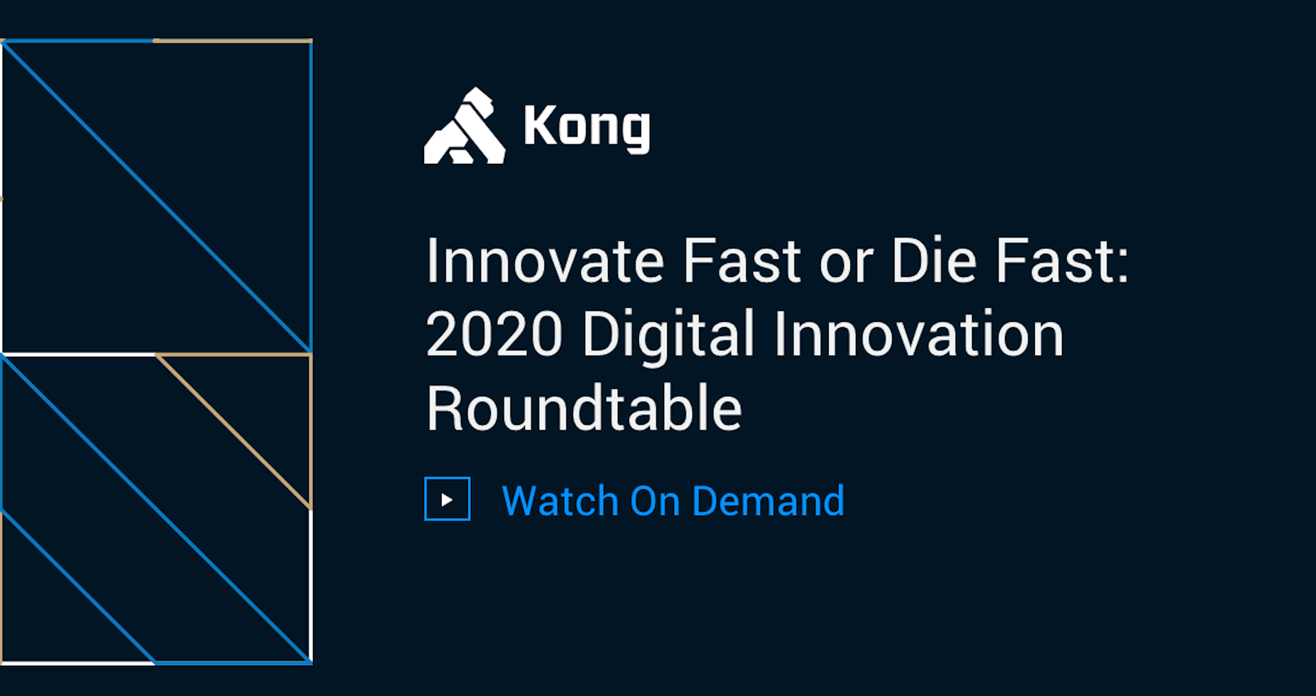Innovate Fast or Die Fast: Digital Innovation Roundtable